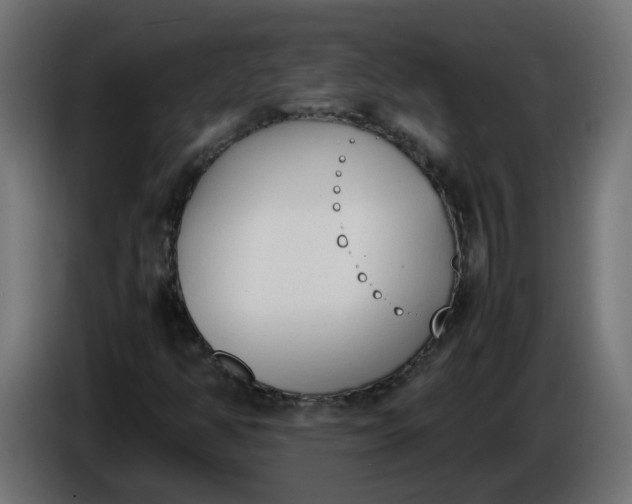 X0000086341350200704131734