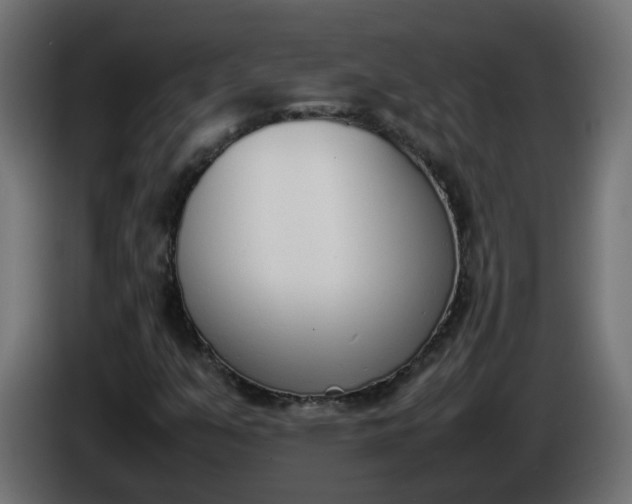 X0000086341351200704131734