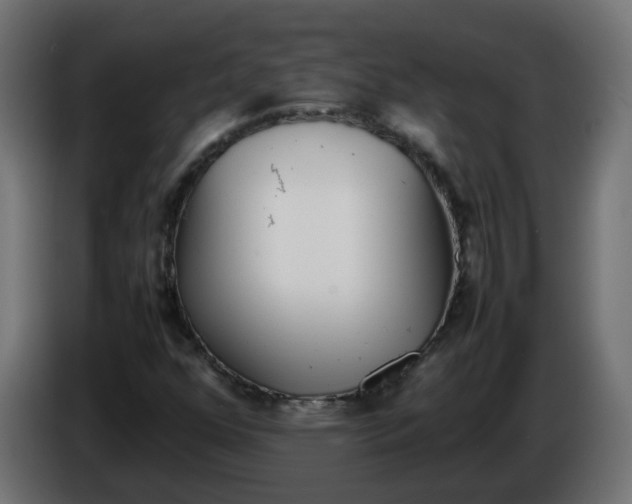 X0000086341352200704131734