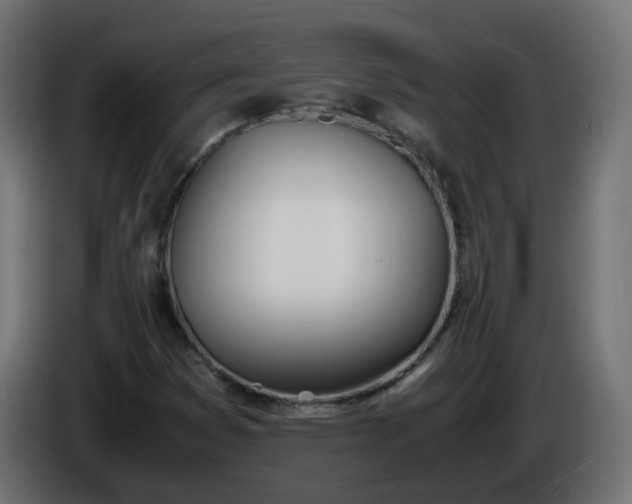 X0000086341353200704131734