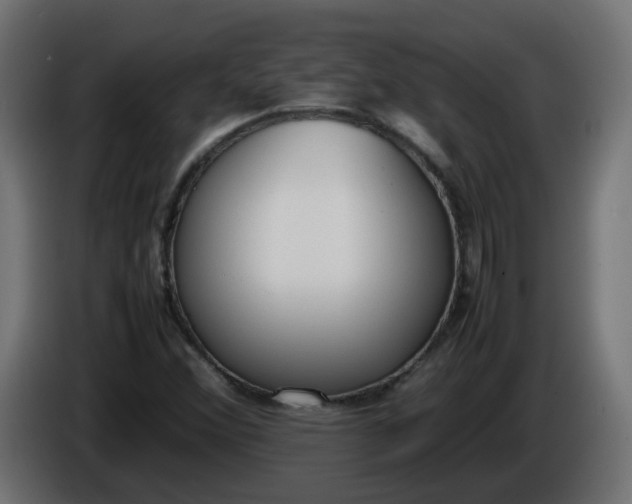 X0000086341356200704131734