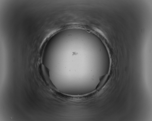X0000086341357200704131734