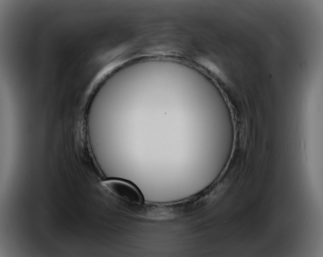 X0000086341358200704131734
