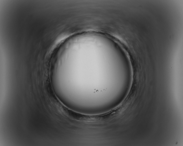 X0000086341359200704131734