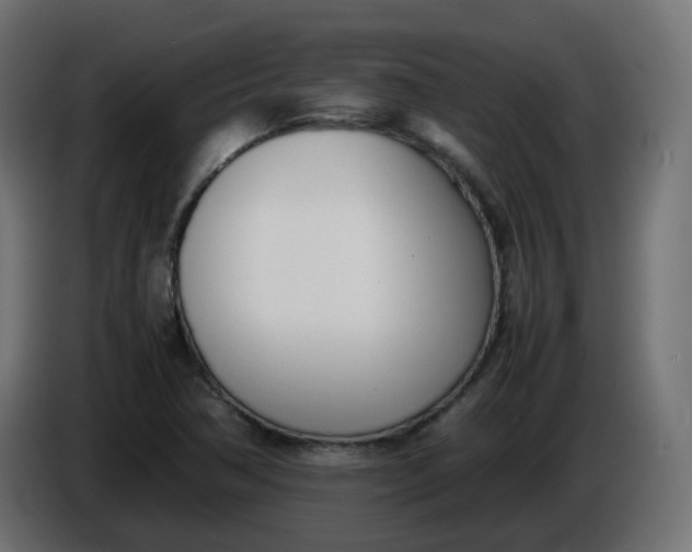 X0000086341362200704131734