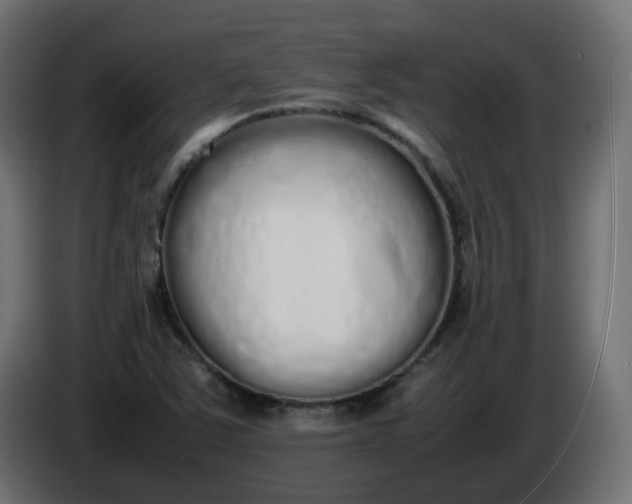 X0000086341363200704131734
