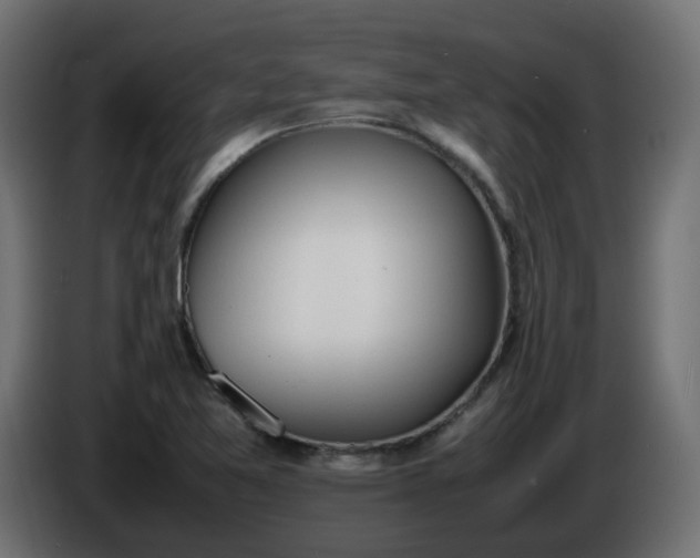 X0000086341365200704131734