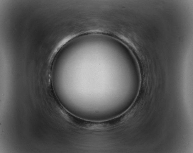 X0000086341367200704131734