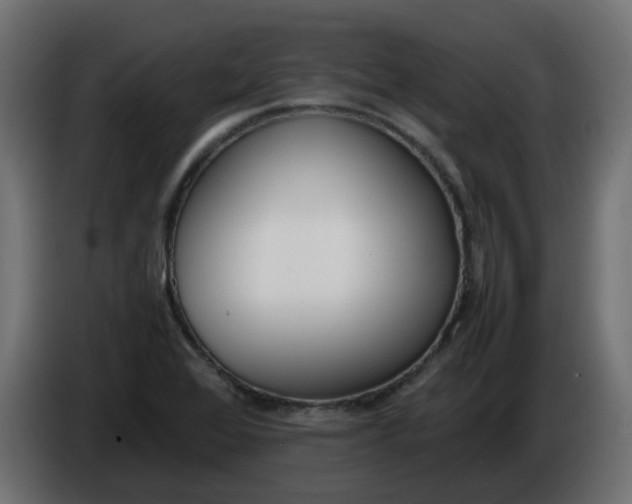 X0000086341368200704131734