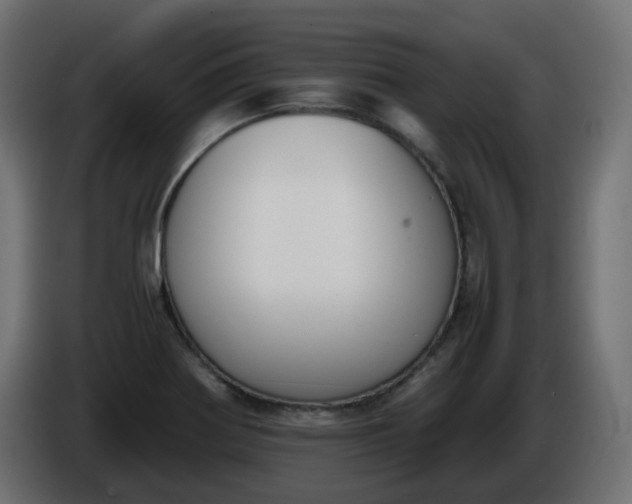 X0000086341370200704131734