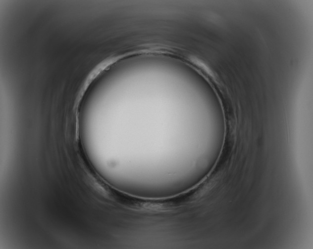 X0000086341371200704131734