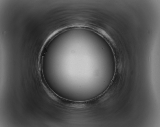 X0000086341372200704131734