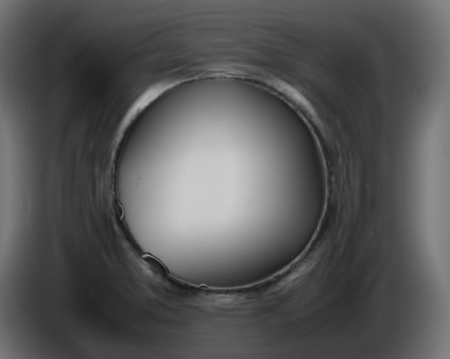 X0000086341373200704131734