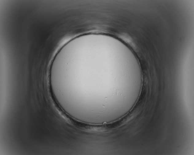 X0000086341375200704131734
