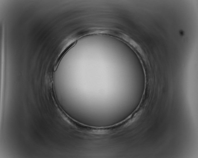 X0000086341377200704131734