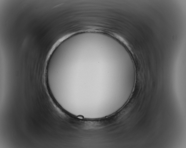 X0000086341379200704131734