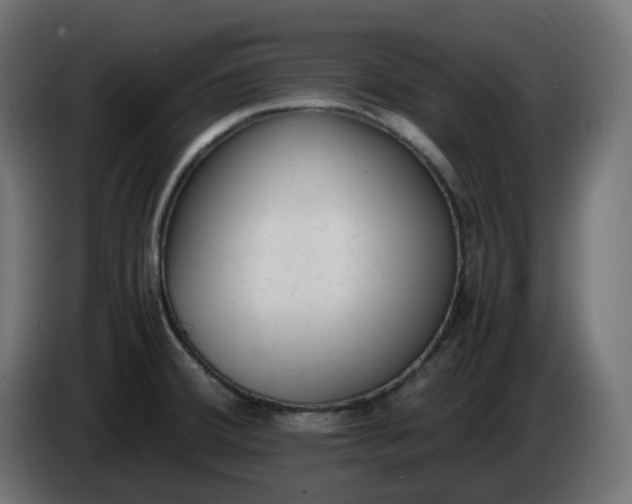 X0000086341380200704131734