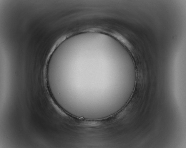 X0000086341382200704131734