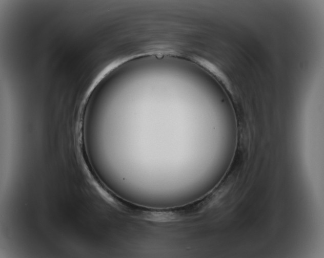X0000086341383200704131734