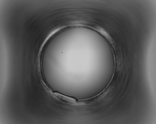 X0000086341384200704131734