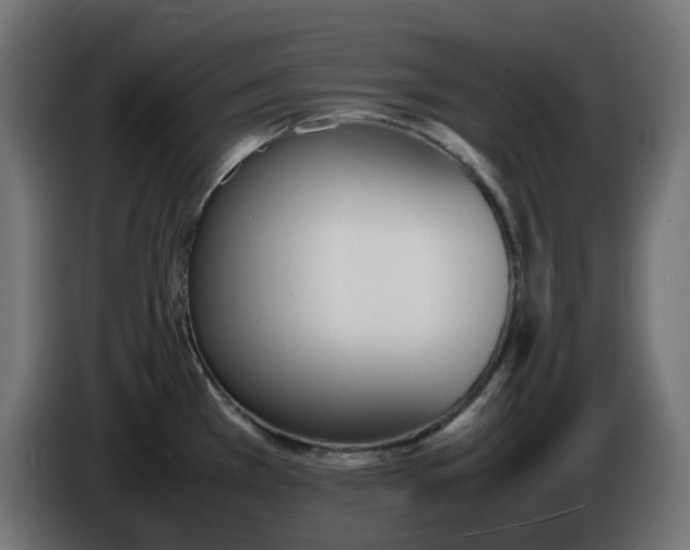 X0000086341385200704131734