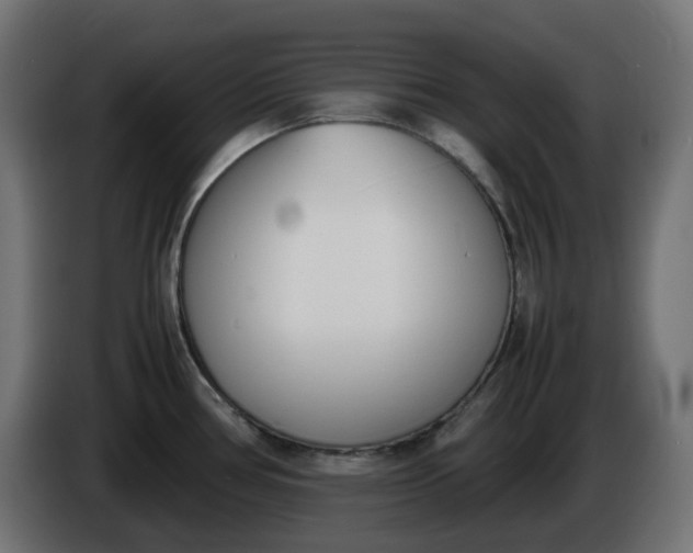 X0000086341386200704131734