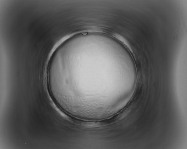 X0000086341387200704131734