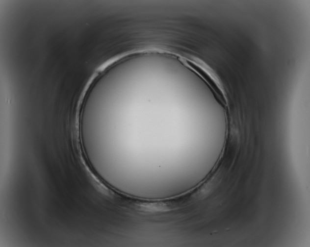 X0000086341388200704131734