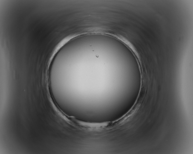 X0000086341389200704131734