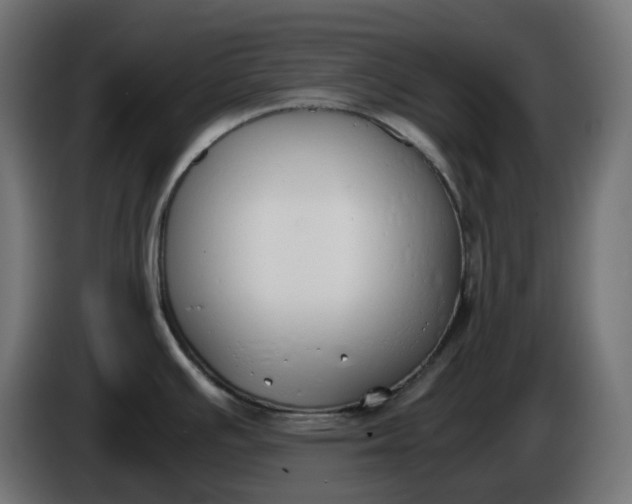 X0000086341391200704131734