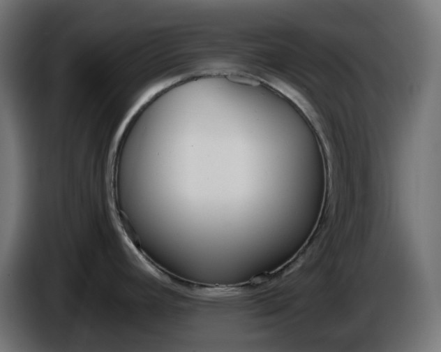 X0000086341392200704131734