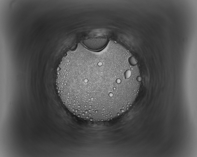 X0000086341393200704131733