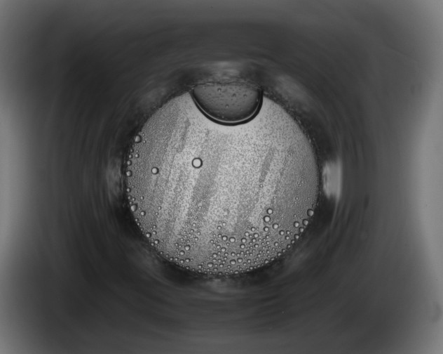 X0000086341395200704131733