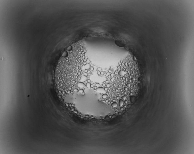 X0000086341397200704131733
