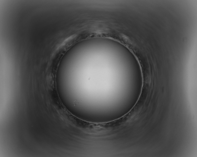 X0000086341398200704131733