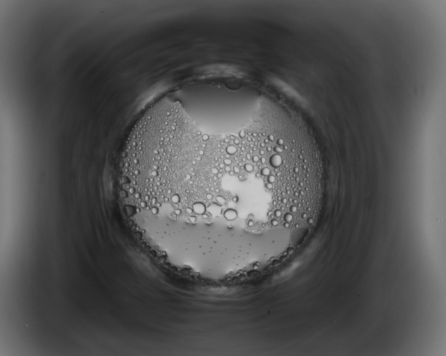 X0000086341401200704131733