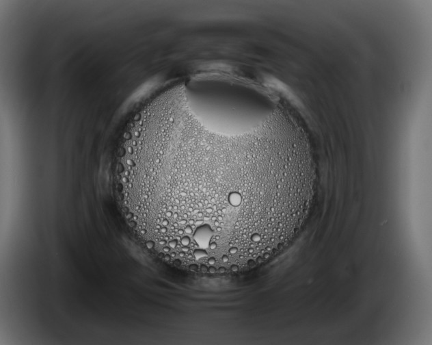 X0000086341403200704131733
