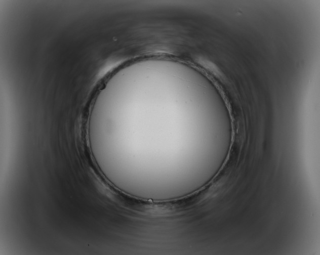 X0000086341404200704131733