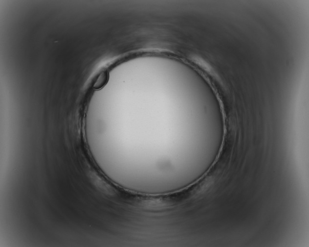 X0000086341408200704131733