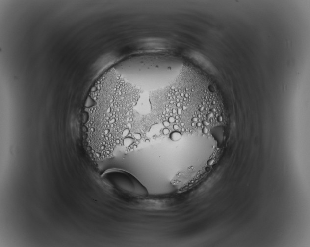 X0000086341409200704131733