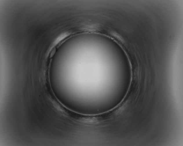 X0000086341410200704131733