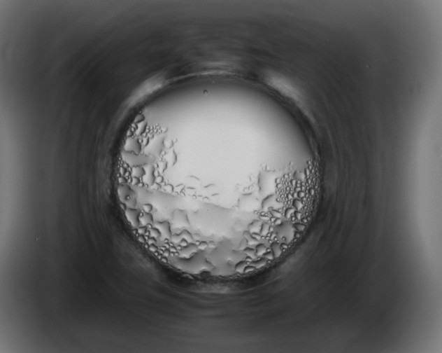 X0000086341411200704131733