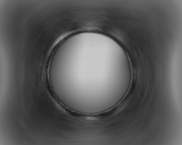 X0000086341412200704131733