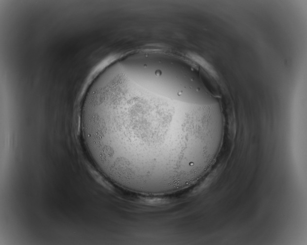 X0000086341413200704131733