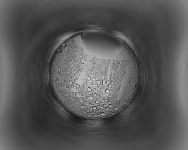 X0000086341415200704131733
