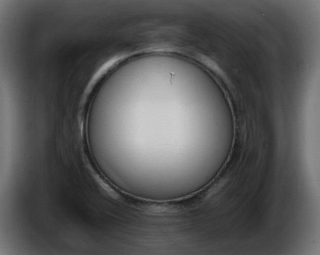 X0000086341416200704131733