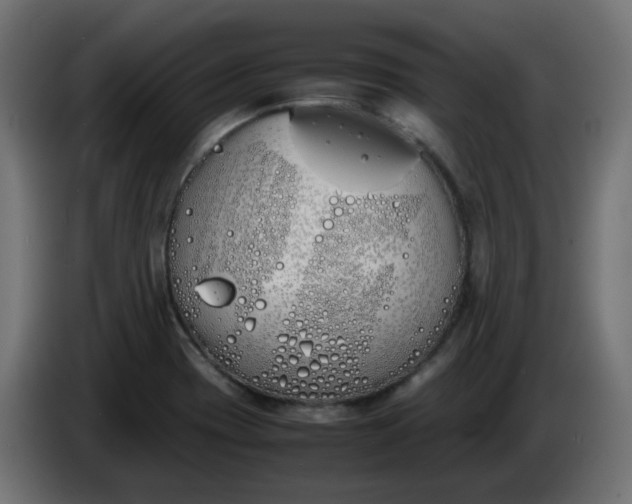 X0000086341417200704131733