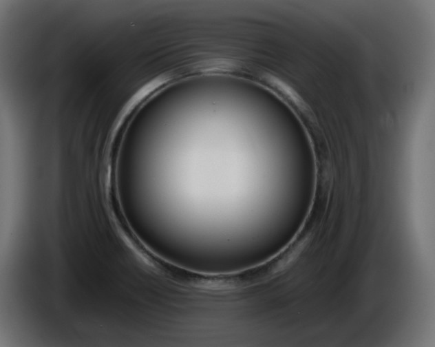 X0000086341418200704131733