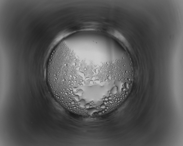 X0000086341419200704131733