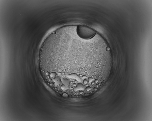 X0000086341421200704131733